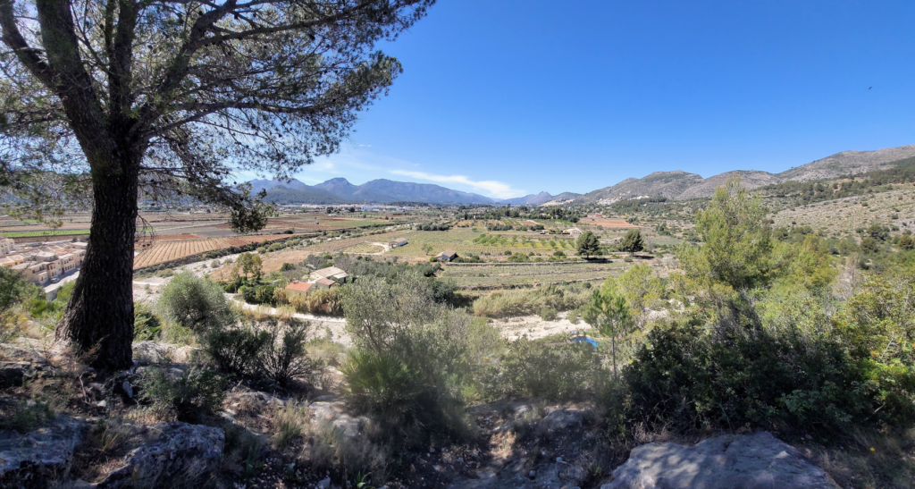 Horseback riding in the Costa Blanca | Photo overlooking the Jalon Valley